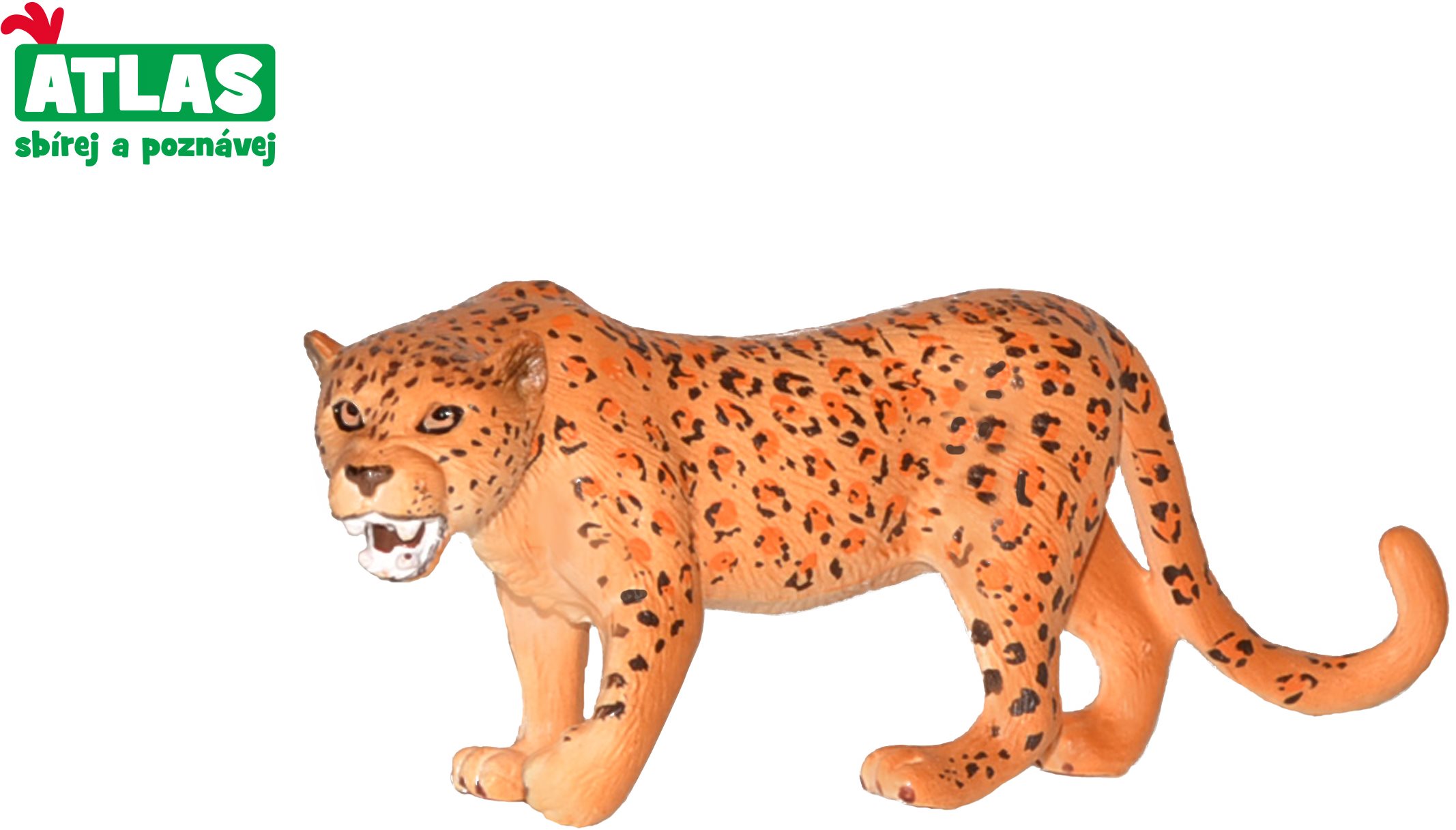 Figura Atlas Leopard