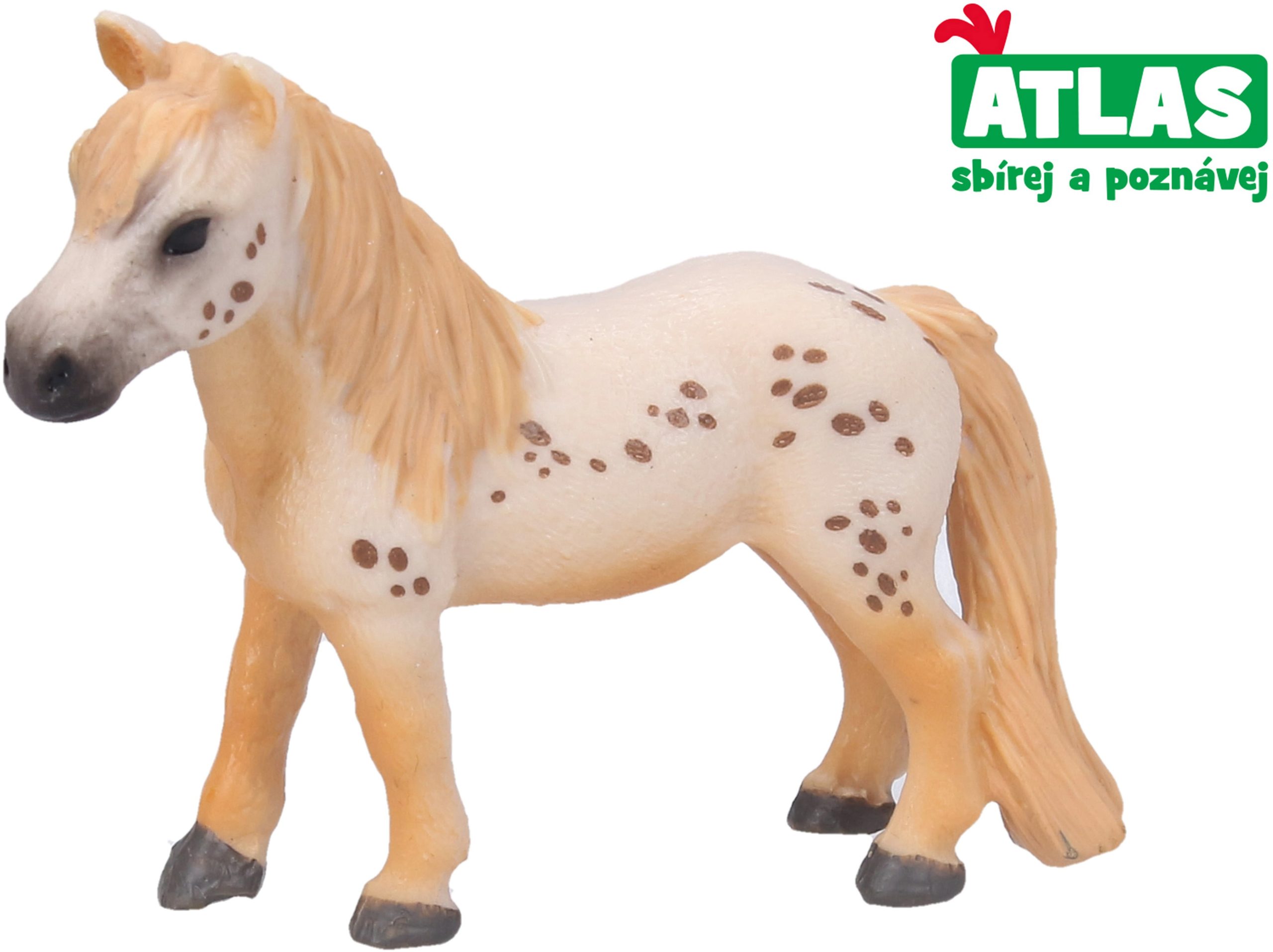 Figura Atlas Pony