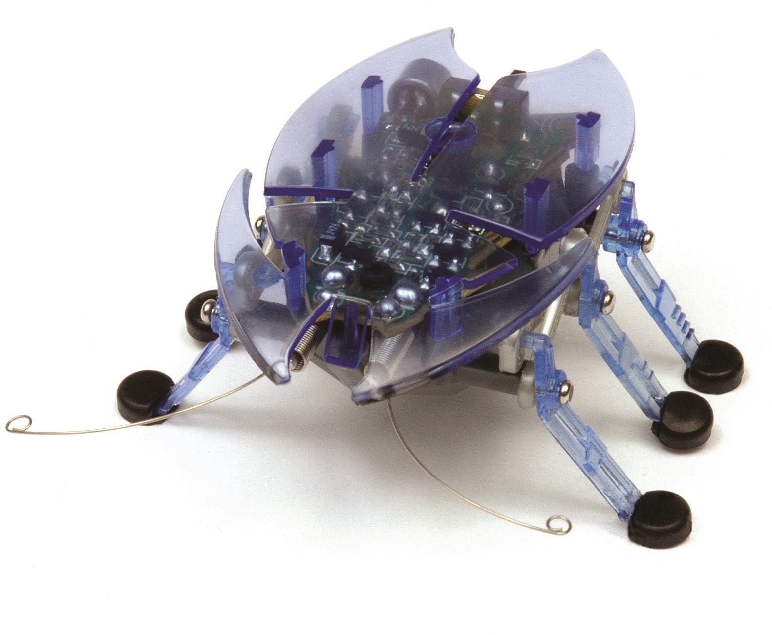 Mikrorobot Hexbug Beetle - kék