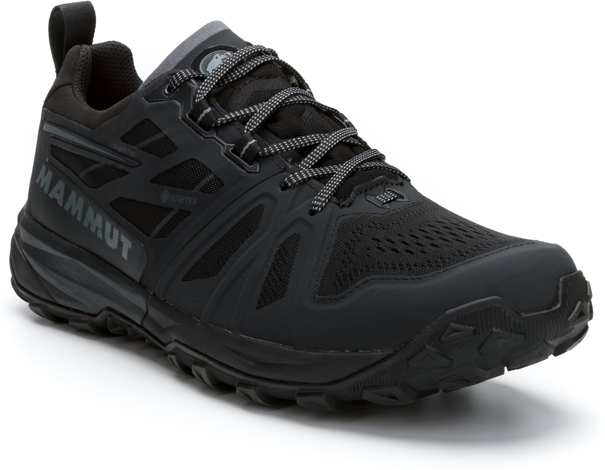 Trekking cipő Mammut Saentis Low GTX® Men