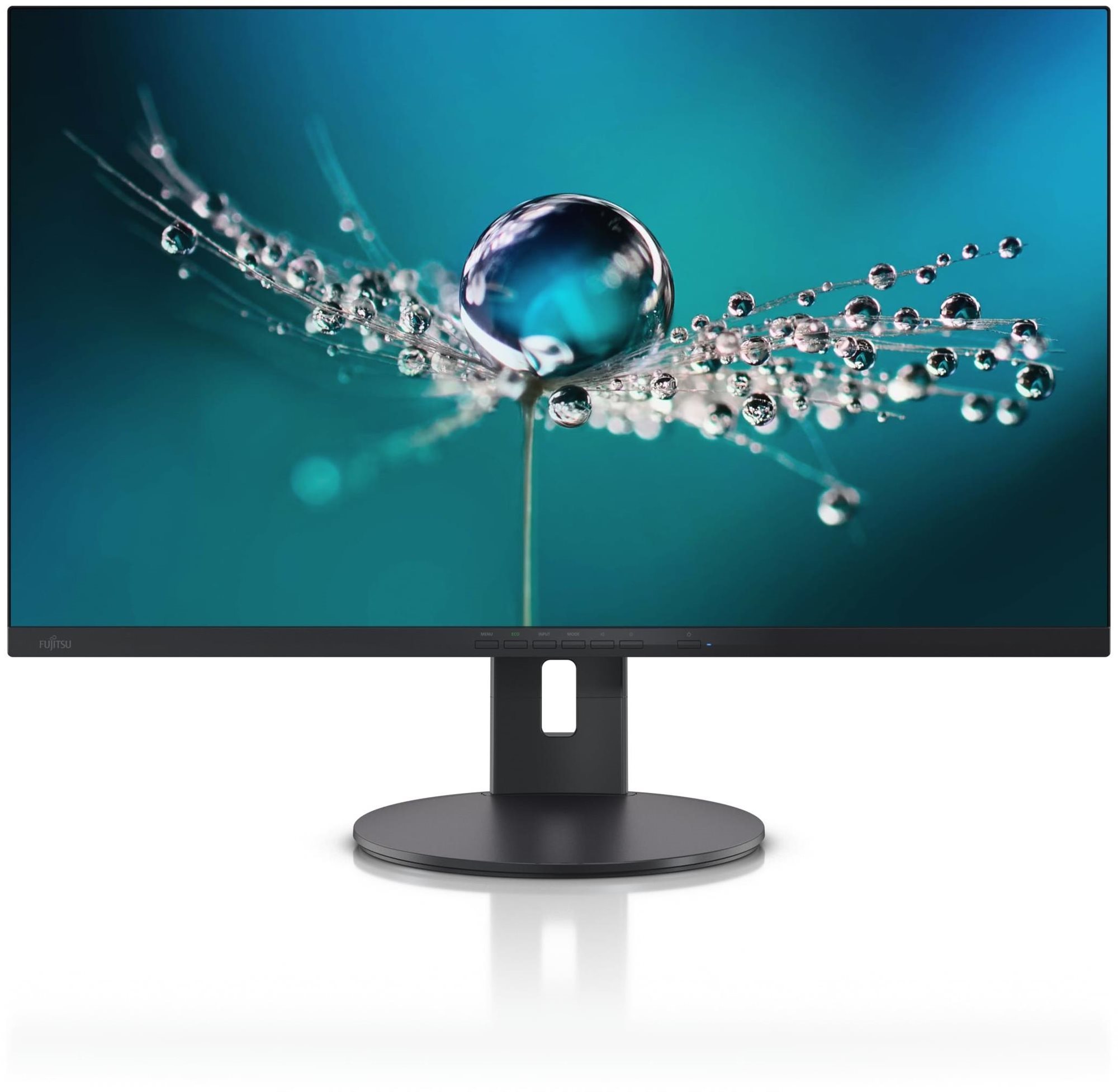 LCD monitor 31